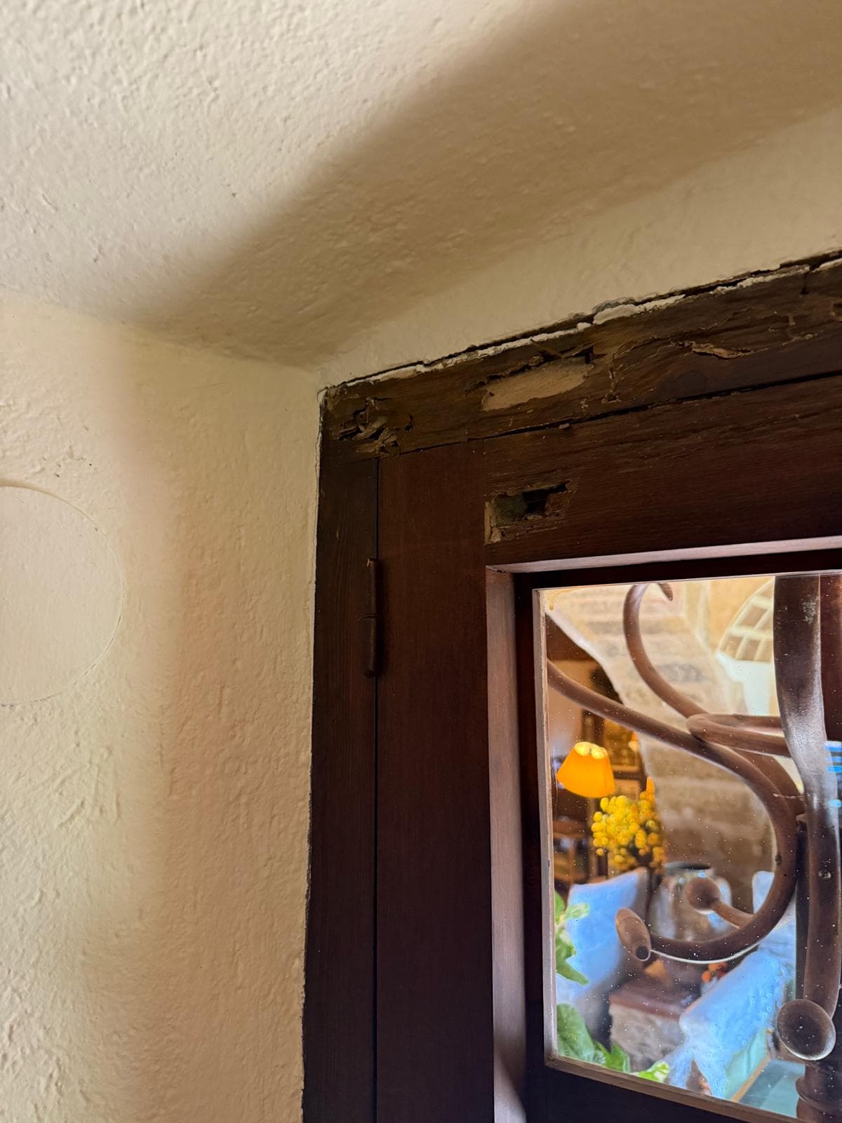 Madera con afectación de termitas detectada durante una inspección técnica