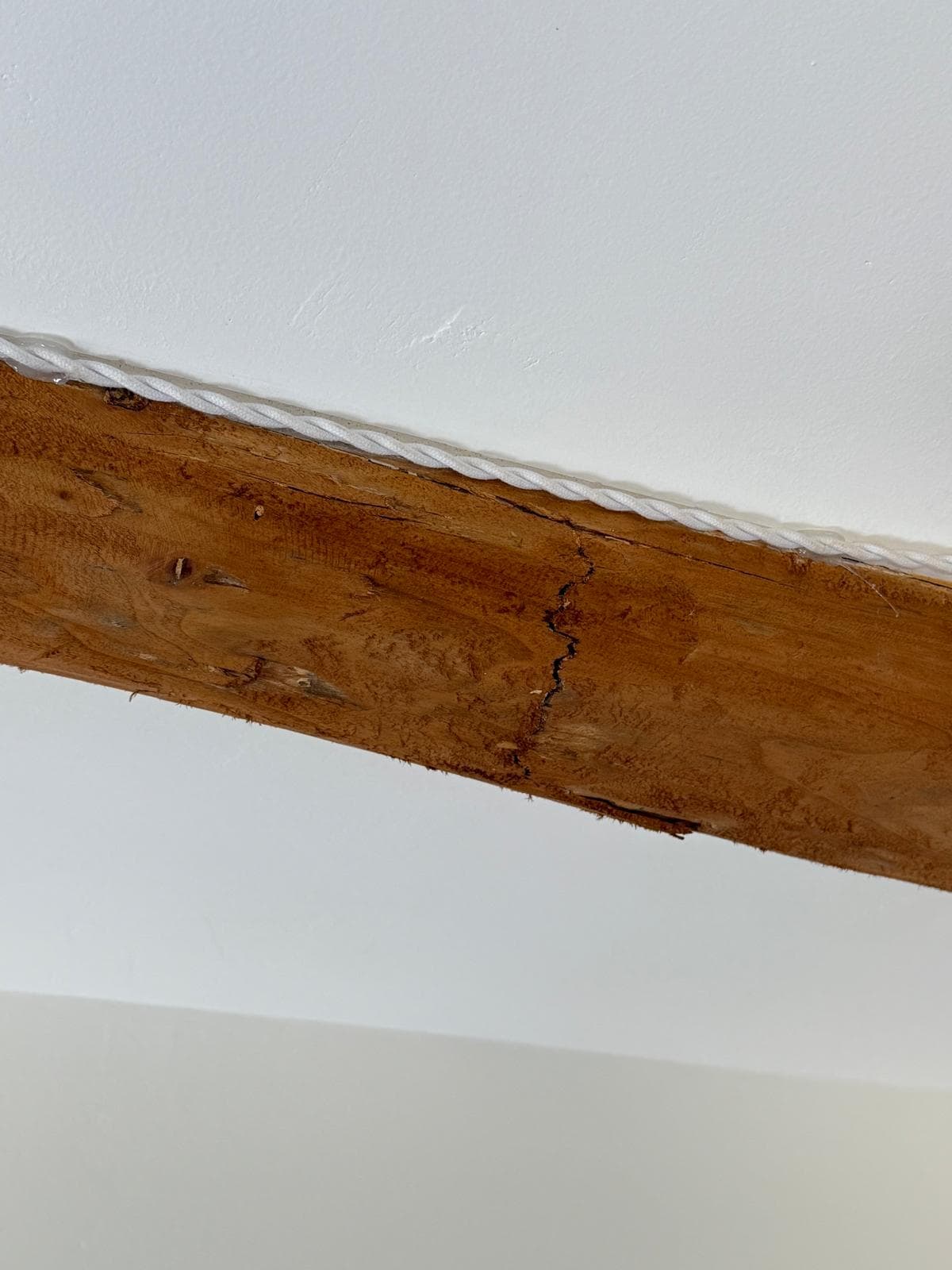 Daño estructural interno en madera causado por termitas