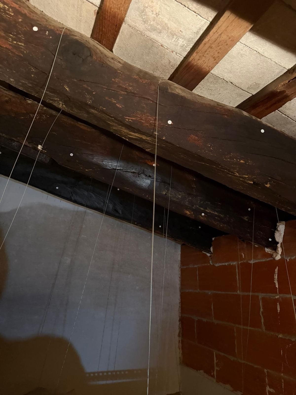 Resultado del tratamiento químico de la carcoma en madera