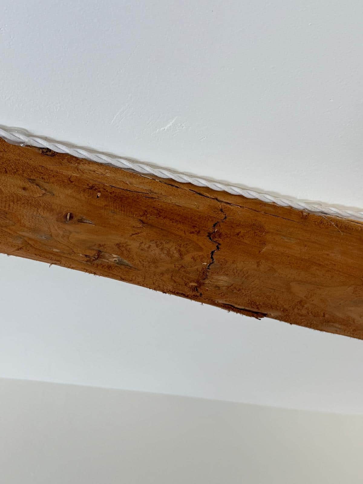Viga estructural de madera con daño interno por termitas